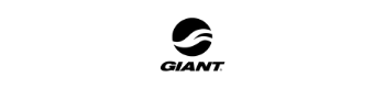 ג'אינט | Giant