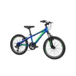 אופני הרים לילדים 20 מאלומניוםרייד סקאוט REID SCOUT