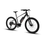 אופני עיר חשמליים פוליגון קאלוסי Polygon Kalosi V2