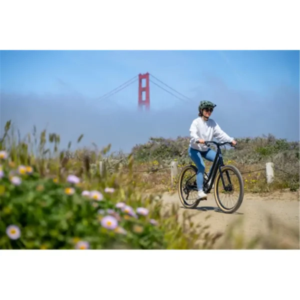 אופני עיר מארין סטינסון Marin Stinson 1