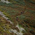 אופני שטח חשמליים וויט אילייט קרבון WHYTE E-Lyte 140 Works