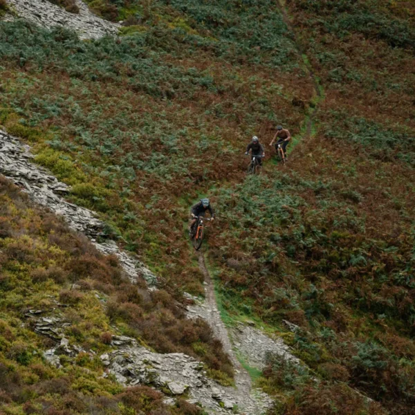 אופני שטח חשמליים וויט אילייט קרבון WHYTE E-Lyte 140 Works